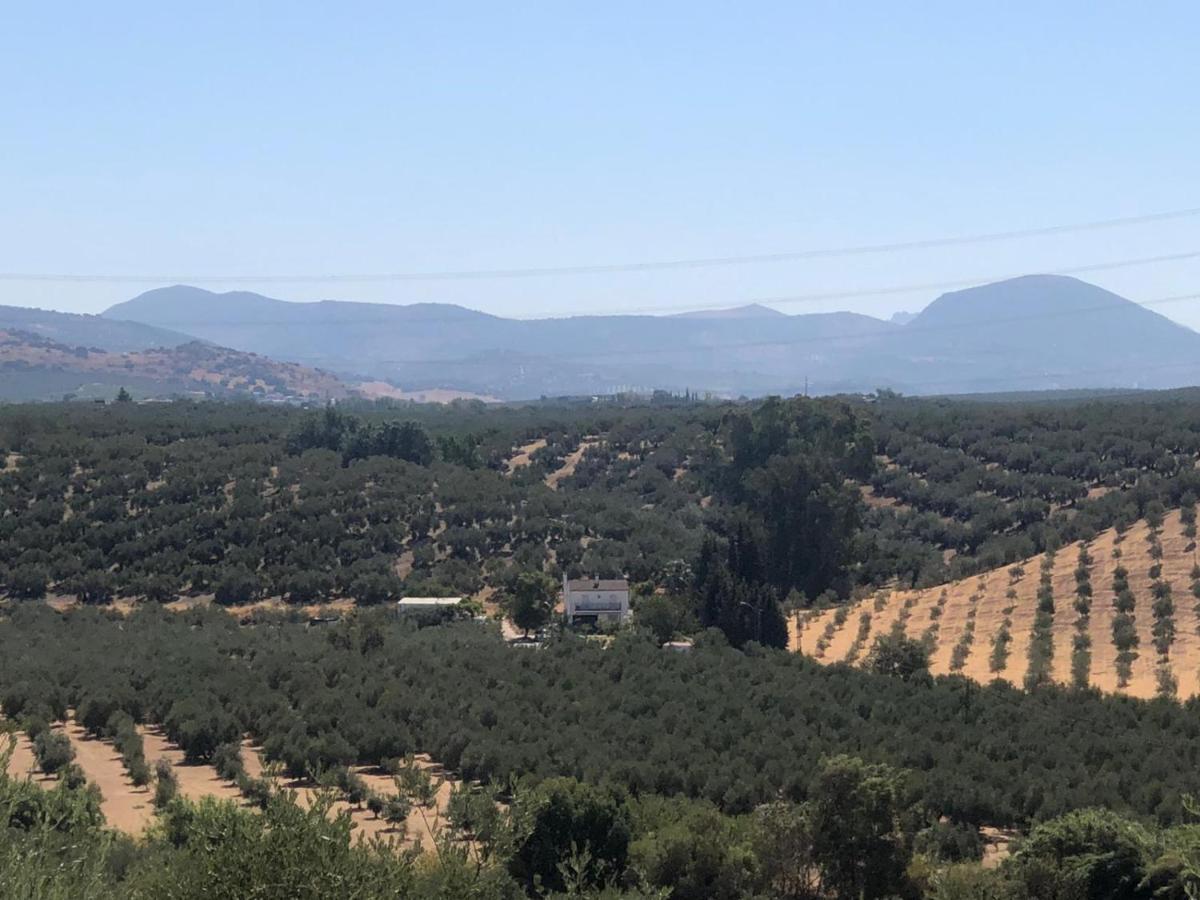卡夫拉Cortijo Ribero别墅 外观 照片
